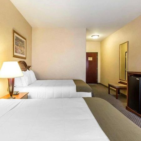 Oasis Inn And Suites 29 Palms Hotel Joshua Tree National Park トウェンティナイン・パームズ エクステリア 写真