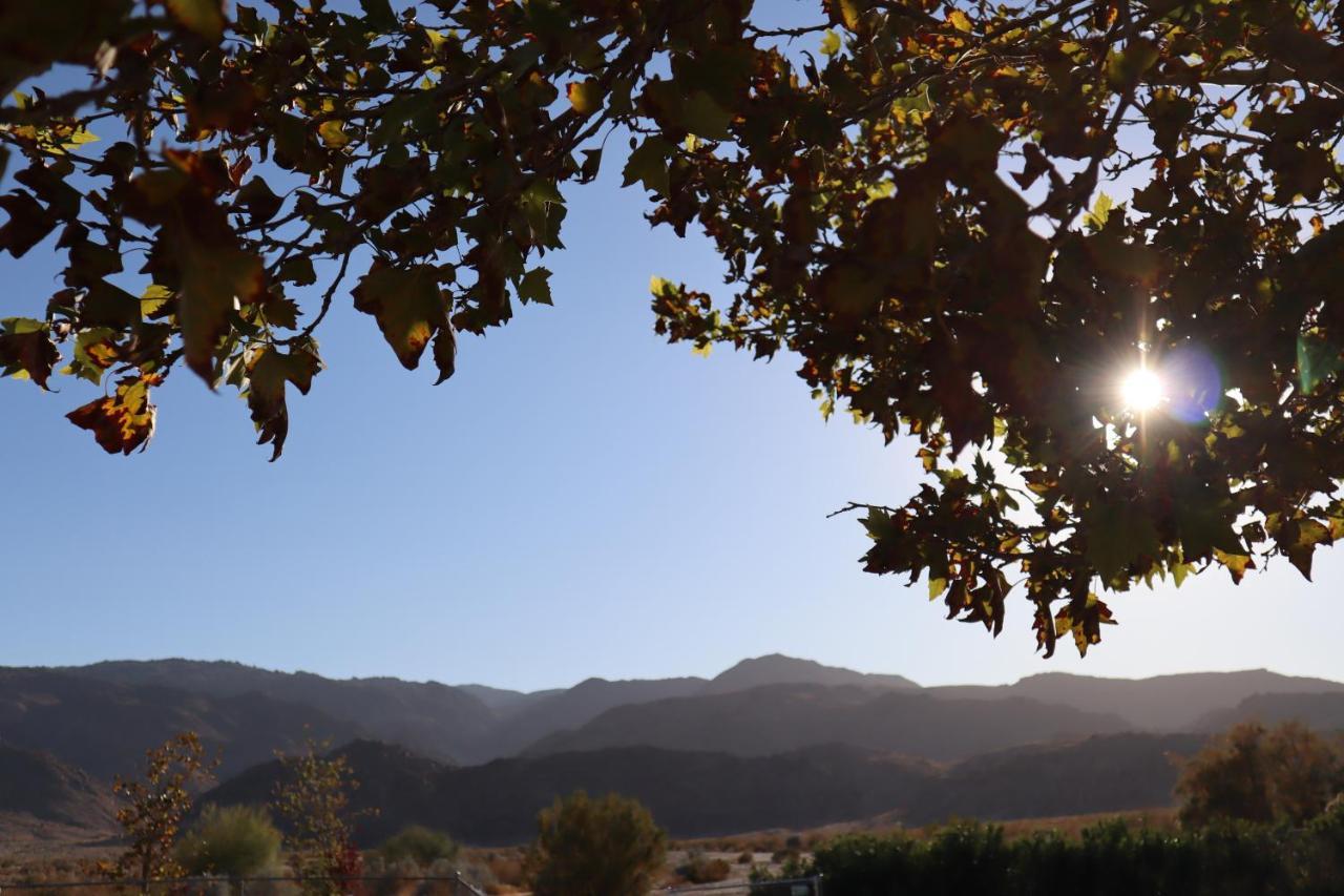 Oasis Inn And Suites 29 Palms Hotel Joshua Tree National Park トウェンティナイン・パームズ エクステリア 写真