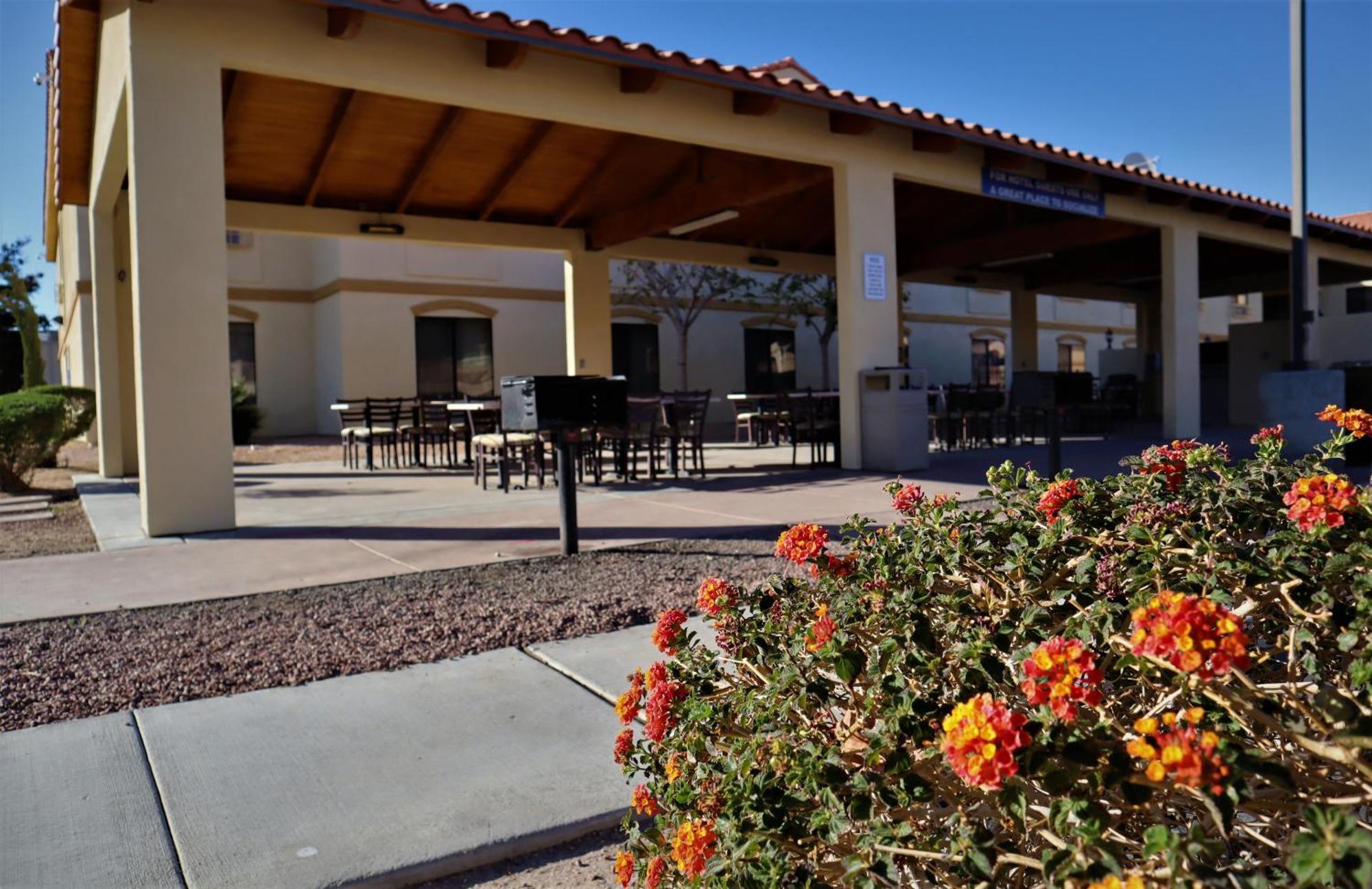 Oasis Inn And Suites 29 Palms Hotel Joshua Tree National Park トウェンティナイン・パームズ エクステリア 写真