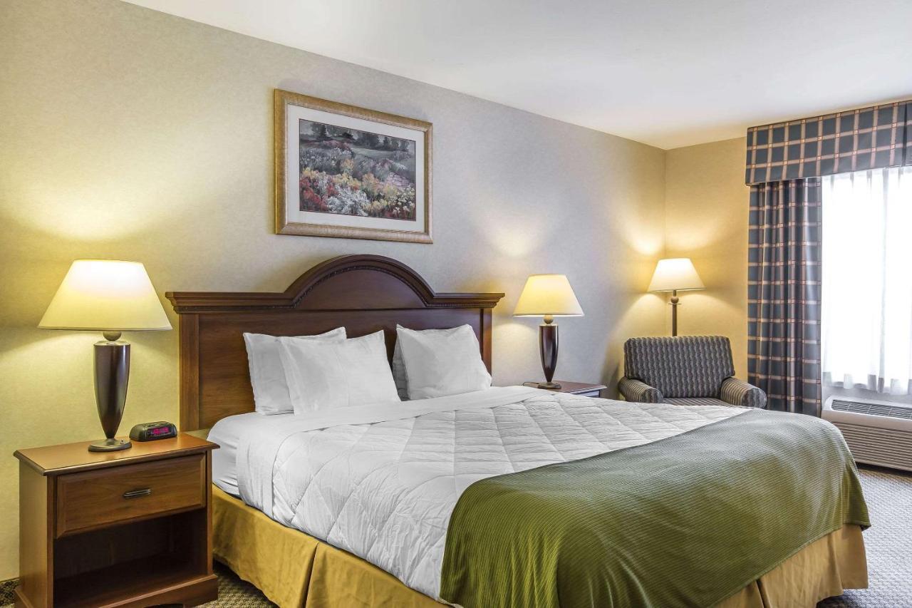 Oasis Inn And Suites 29 Palms Hotel Joshua Tree National Park トウェンティナイン・パームズ エクステリア 写真