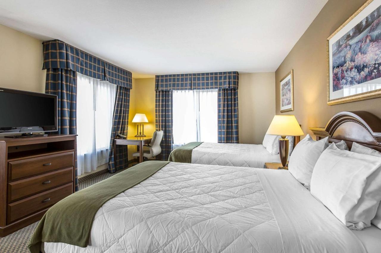 Oasis Inn And Suites 29 Palms Hotel Joshua Tree National Park トウェンティナイン・パームズ エクステリア 写真