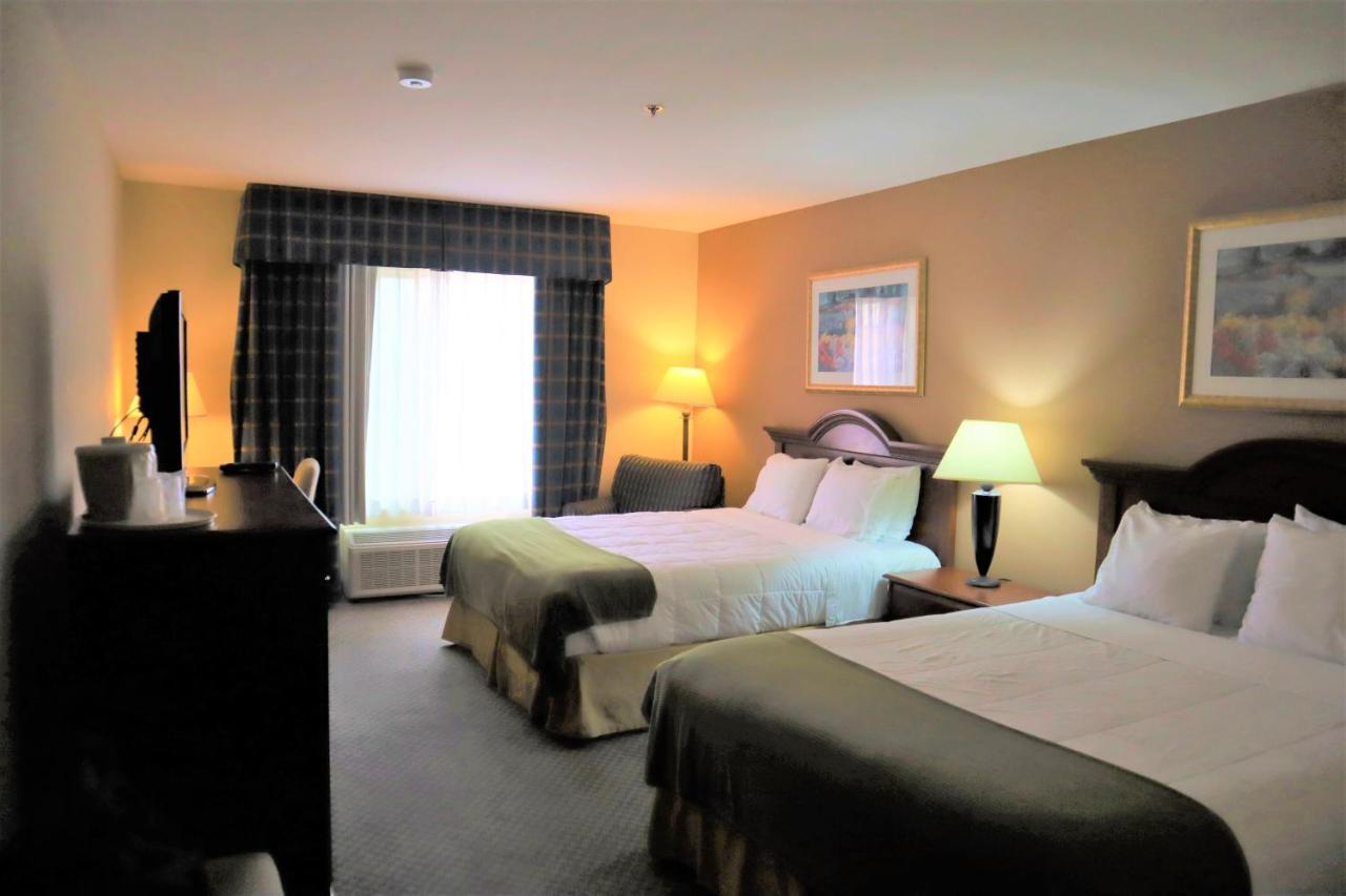 Oasis Inn And Suites 29 Palms Hotel Joshua Tree National Park トウェンティナイン・パームズ エクステリア 写真