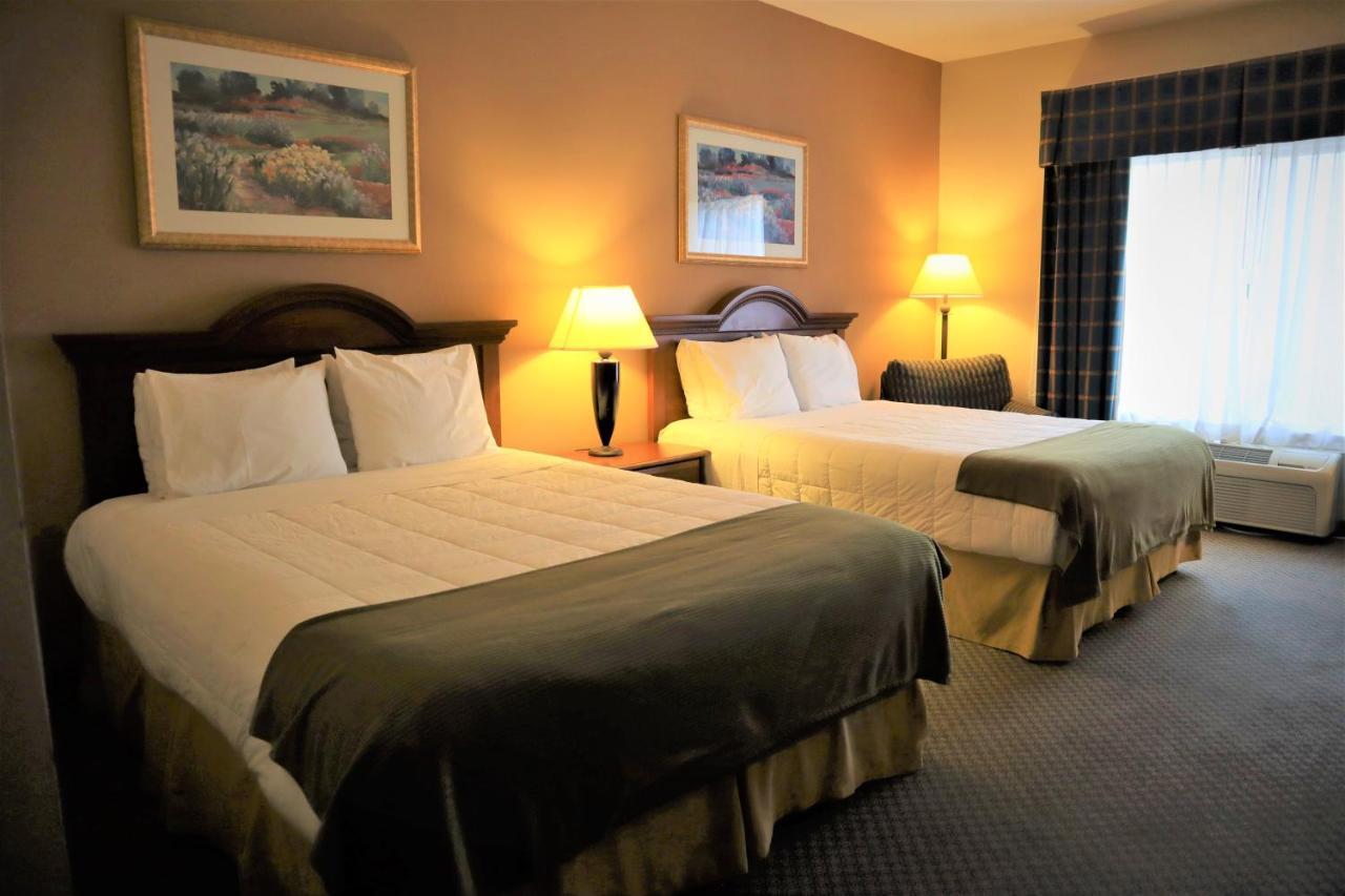 Oasis Inn And Suites 29 Palms Hotel Joshua Tree National Park トウェンティナイン・パームズ エクステリア 写真